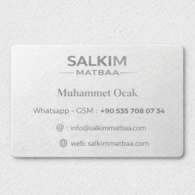 gumus-yaldiz-kartvizit-tek-yuz-657