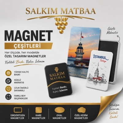 magnet-cesitleri-991007