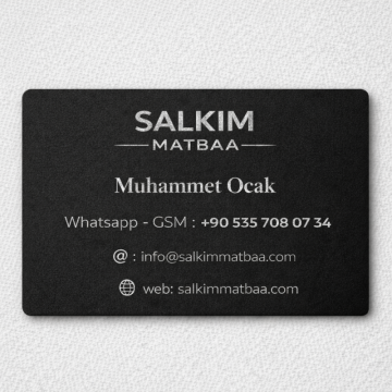 Gümüş Yaldız Kartvizit - 2